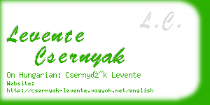 levente csernyak business card